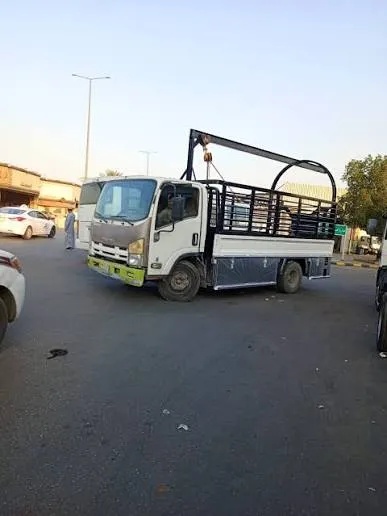 صناديق دينات نقل إبل